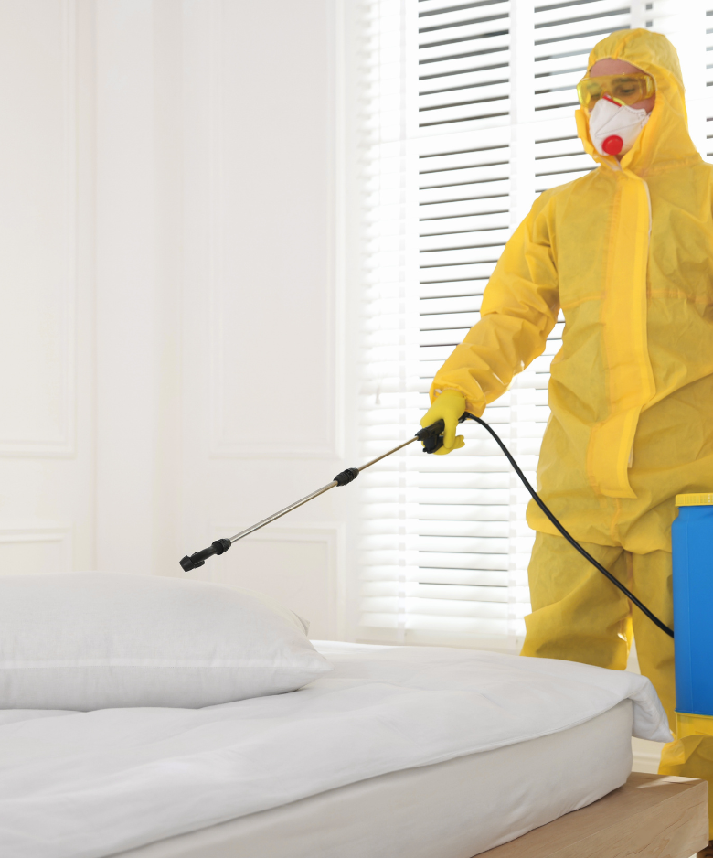 Professional Pest Control Team in Gepps Cross